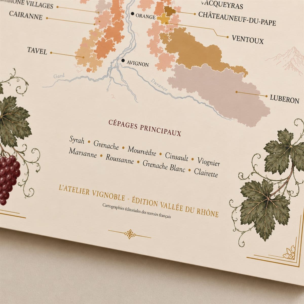 Détail de l'affiche Vallée du Rhône : cépages et signature de l'atelier